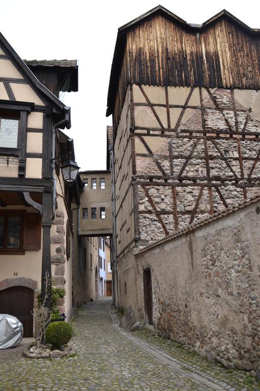 Gites Du Stekala Kaysersberg-Vignoble Exterior foto