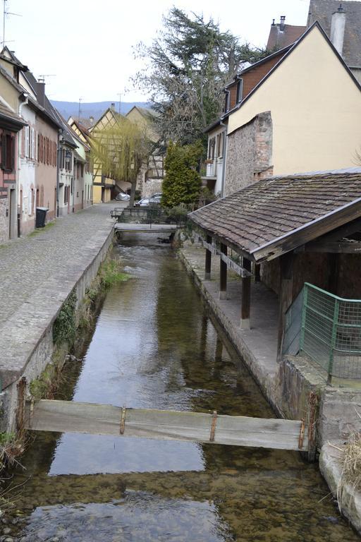 Gites Du Stekala Kaysersberg-Vignoble Exterior foto
