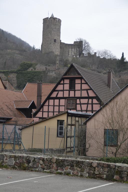 Gites Du Stekala Kaysersberg-Vignoble Exterior foto