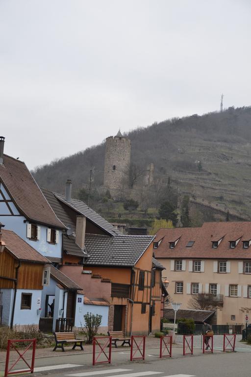 Gites Du Stekala Kaysersberg-Vignoble Exterior foto