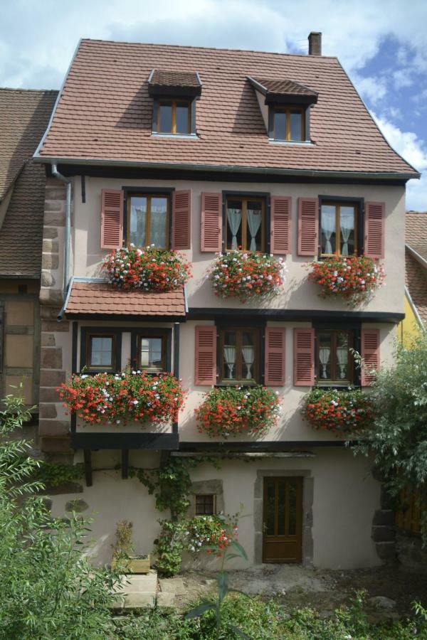 Gites Du Stekala Kaysersberg-Vignoble Exterior foto